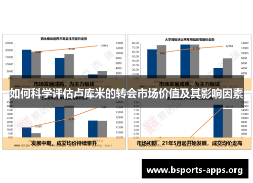 如何科学评估卢库米的转会市场价值及其影响因素 如何科学评估卢库米的转会市场价值及其影响因素