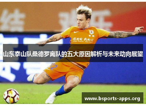 山东泰山队桑德罗离队的五大原因解析与未来动向展望