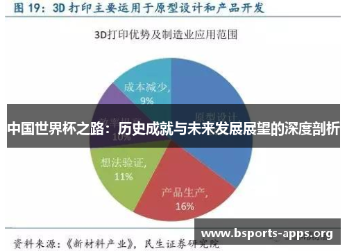 中国世界杯之路：历史成就与未来发展展望的深度剖析
