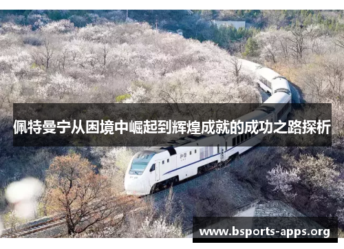 佩特曼宁从困境中崛起到辉煌成就的成功之路探析